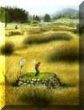 Troubleshooters Golf Club & Wildlife Preserve